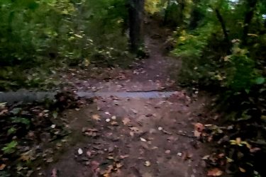 A narrow path through a wooded area, covered in fallen leaves, with trees lining either side. The scene is set in soft, natural lighting, suggesting an early morning or late afternoon ambiance. Beulah Park mountain bike trail.