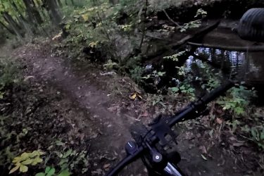 A close-up view from a mountain bike's handlebars on a wooded trail beside a small stream, surrounded by lush green foliage and fallen leaves. Beulah Park mountain bike trail.