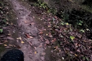 A close-up view of a bike tire on a dirt trail surrounded by trees, with colorful autumn leaves scattered on the ground. The scene is set in a wooded area, indicating a peaceful outdoor environment. Beulah Park mountain bike trail.