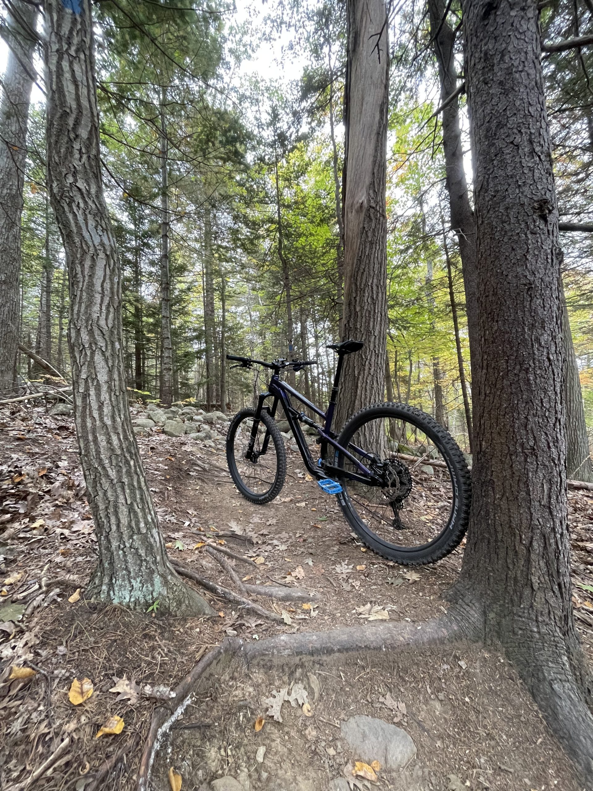 A black mountain bike leaning against a tree on a dirt trail surrounded by tall trees and foliage in a forest setting. The ground is covered with leaves and small rocks, indicating an outdoor biking path. West Side Trail mountain bike trail.