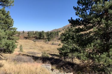 A scenic view of a grassy field surrounded by pine trees under a clear blue sky. The landscape features rolling hills in the background and a mix of greenery and dry grass. Picture Rock Trail mountain bike trail.