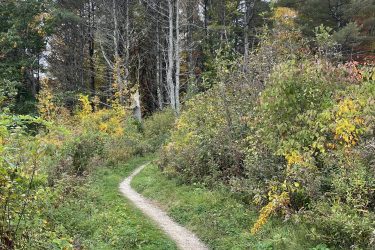 A winding dirt path through a lush green and yellow foliage, surrounded by trees under a cloudy sky. West Side Trail mountain bike trail.