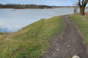 A narrow dirt path lined with grass leads along the edge of a calm body of water. In the background, trees with bare branches and some greenery are visible under a partly cloudy sky. A signpost with the number 19 is attached to a tree on the right side of the image, and the landscape is serene and natural, suggesting a peaceful outdoor setting. Lake Minnewasta Recreation Trail mountain bike trail.