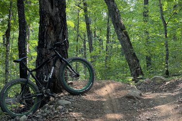 A black mountain bike leaning against a large tree in a forested area, with a dirt path winding through the greenery. Sunlight filters through the leaves, illuminating the scene. Jackpot mountain bike trail.