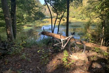 A mountain bike resting on a log in a wooded area, with a serene pond in the background surrounded by lush greenery. Sunlight filters through the trees, creating a peaceful outdoor scene. Big Branch Bike Park mountain bike trail.