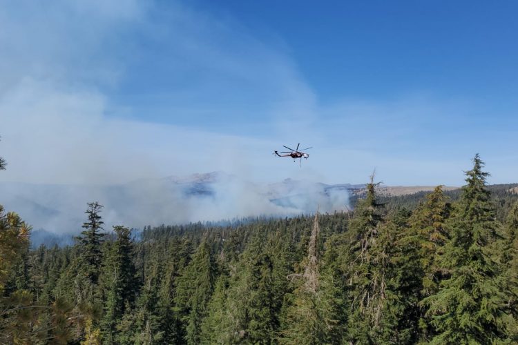 A helicopter hovers above a dense forest, with smoke rising in the distance from a wildfire. The sky is clear blue, and the landscape features tall evergreen trees.