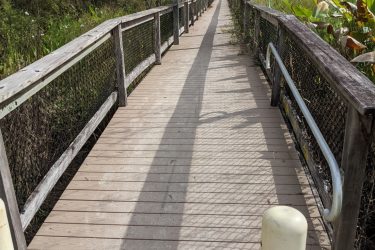 A wooden boardwalk leading through a natural area, featuring a covered section at the end. The path is flanked by greenery, and a railing runs along the sides. Sunlight casts shadows on the walkway, enhancing the tranquil outdoor atmosphere. Crew bird rookery swamp trail mountain bike trail.