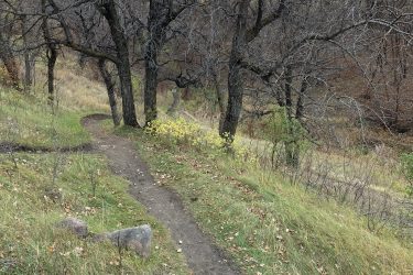 A winding dirt path surrounded by dry grass and bare trees, leading through a wooded area with a cloudy sky overhead. A large rock is visible on the left side of the path. Lake Minnewasta Recreation Trail mountain bike trail.