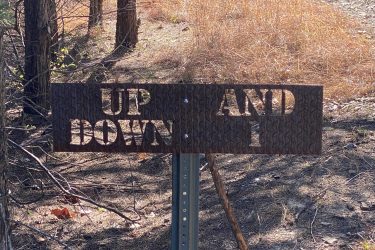 A weathered metal sign with cut-out letters reading "UP AND DOWN" stands in a wooded area with dry grass and trees in the background. Fancy Creek State Park mountain bike trail.