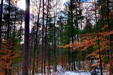 A scenic winter forest landscape featuring tall trees with sparse leaves and patches of snow-covered ground. A mountain bike is parked along a snow-covered trail, suggesting an outdoor recreational activity. The sky is partly cloudy, with a hint of sunlight peeking through the trees. Dufferin County mountain bike trail.