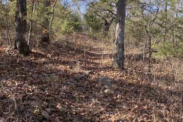 A narrow dirt path winding through a wooded area, lined with trees and covered in fallen leaves. The scene is bathed in natural light, highlighting the textures of the ground and surrounding foliage. Drywood Creek Trail mountain bike trail.