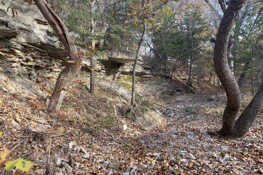 A natural landscape featuring rocky outcrops and trees, with a carpet of fallen leaves covering the ground. The scene is set in a wooded area, showcasing a meandering path that leads through the underbrush. The leaves are golden and orange, indicating autumn, while the trees are a mix of deciduous varieties. Alcove Springs mountain bike trail.