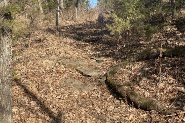 A winding, rocky path through a forest, surrounded by autumn leaves and trees. Sunlight filters through the branches, illuminating the earthy tones of the terrain. Drywood Creek Trail mountain bike trail.
