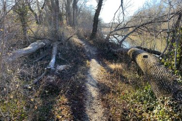 A narrow dirt path winds through a natural setting, flanked by fallen trees and dense underbrush. Sunlight filters through the bare branches of trees, casting a warm glow on the trail that runs alongside a tranquil river. Cottonwood River Trail mountain bike trail.