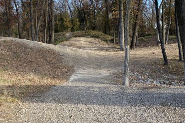 A dirt path winding through a forested area, with trees lining both sides and some foliage visible on the ground. The path has gravel sections and leads to a gentle rise in the terrain, creating a natural, outdoor environment. 23rd St Bike Park mountain bike trail.