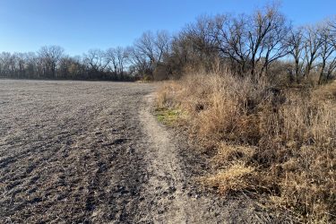 A dirt path winding through a dry, open field with sparse vegetation, bordered by bare trees and shrubs under a clear blue sky. Cottonwood River Trail mountain bike trail.