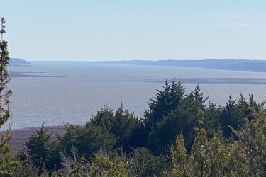 A tranquil view of a wide expanse of water surrounded by distant hills, with green trees in the foreground. The sky is clear and blue, creating a serene atmosphere. Fancy Creek State Park mountain bike trail.
