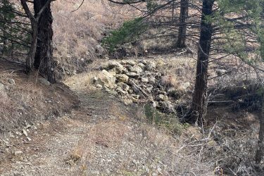 A winding dirt path surrounded by dry grass and scattered rocks, flanked by tall trees. The scene conveys a natural, rugged landscape, suggesting a remote outdoor area. Alcove Springs mountain bike trail.