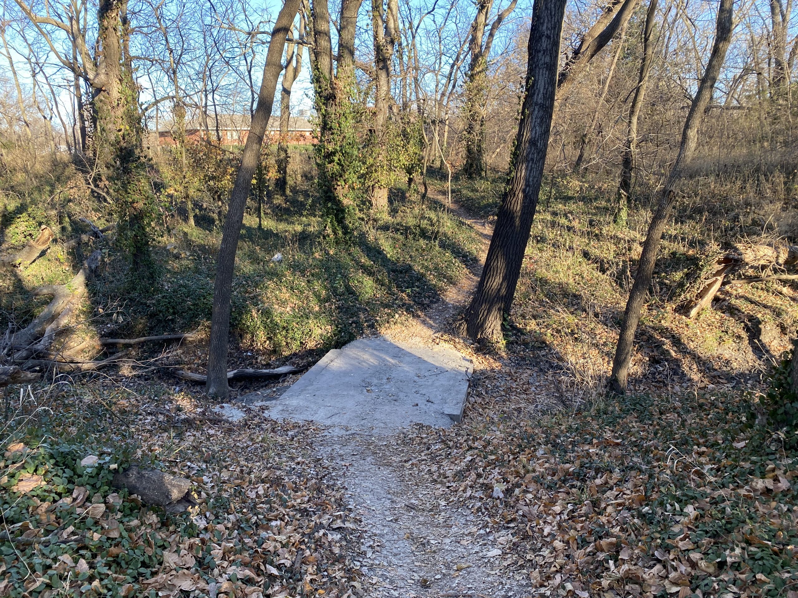 A narrow dirt path leading through a wooded area with bare trees and sparse underbrush. A small concrete slab is visible on the path, with scattered fallen leaves surrounding it. The sunlight highlights the trees and the terrain, creating a serene nature scene. Cottonwood River Trail mountain bike trail.