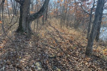 A sunlit path through a wooded area, lined with trees showing autumn leaves. The ground is covered with fallen leaves, and a hint of water is visible in the background. Drywood Creek Trail mountain bike trail.