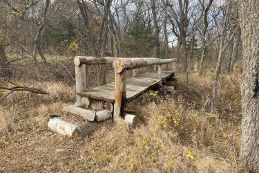 A rustic wooden bridge made from logs, situated in a natural setting with sparse grass and scattered trees. The scene is tranquil, depicting the bridge as it extends over a small gap in the foliage, surrounded by autumn-colored leaves and bare branches. Alcove Springs mountain bike trail.
