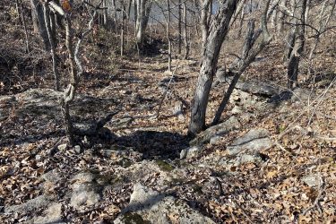 A rocky forested area in autumn, featuring bare trees, scattered dry leaves, and a mix of small rocks and boulders on the ground. The background hints at a body of water through the trees. Drywood Creek Trail mountain bike trail.