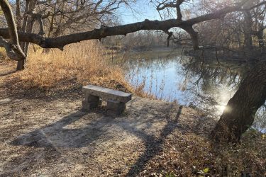 A serene riverside scene featuring a stone bench positioned near the water's edge. Sunlight dapples the area, casting shadows on the ground. Leafless trees and sparse vegetation frame the view, suggesting an early winter atmosphere. The calm river reflects the surrounding landscape. Cottonwood River Trail mountain bike trail.