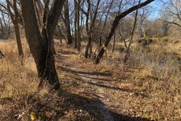 A winding dirt path bordered by bare trees and tall grass, leading along a calm waterway under a clear blue sky. The scene captures the tranquility of nature during the autumn season. Cottonwood River Trail mountain bike trail.