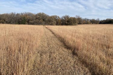 A dirt path running through a field of tall, dry grass, leading towards a tree line in the background under a partly cloudy sky. Alcove Springs mountain bike trail.