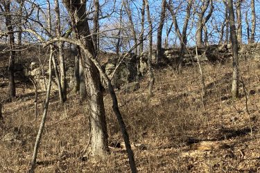 A wooded landscape featuring bare trees and a rocky hillside under a blue sky, with dry grass and leaves covering the ground. Drywood Creek Trail mountain bike trail.