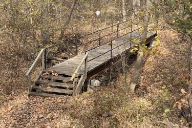A wooden footbridge with a railing spans a small valley, surrounded by trees and autumn foliage. Dried leaves cover the ground, and the scene is set in a natural, wooded area. There are stairs leading up to the bridge from one side. Alcove Springs mountain bike trail.
