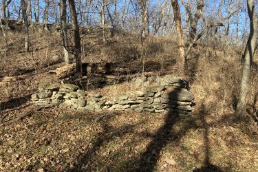 A rural landscape featuring a low stone wall amid bare trees and dried leaves on the ground, with a hillside in the background under a clear blue sky. The area appears to be in a wooded setting, indicating a natural environment. Drywood Creek Trail mountain bike trail.