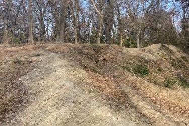 A sunny outdoor scene featuring a dirt path winding through a hilly terrain with sparse grass and fallen leaves, surrounded by bare trees in a forest setting. 23rd St Bike Park mountain bike trail.