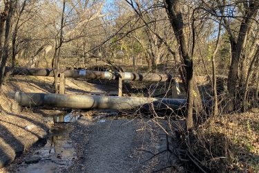 A wooded area with bare trees and a gravel path, featuring large black pipes positioned above a shallow stream. The scene is illuminated by sunlight, creating a tranquil yet industrial atmosphere. Cottonwood River Trail mountain bike trail.
