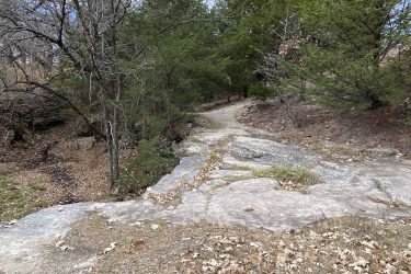 A rocky path winding through a wooded area, featuring bare trees and evergreen shrubs. The ground is covered in fallen leaves, and the landscape appears to be in a natural setting, suggesting a transition from autumn to winter. Alcove Springs mountain bike trail.