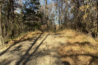 A dirt path winding through a wooded area, surrounded by trees with sparse foliage and fallen leaves, under a clear blue sky. 23rd St Bike Park mountain bike trail.