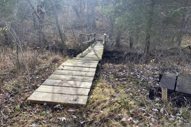 A wooden footbridge leading over a small stream, surrounded by trees and fallen leaves in a wooded area. The lighting is soft, suggesting a tranquil setting. To the right, there is a dark wooden platform or bench. Alcove Springs mountain bike trail.