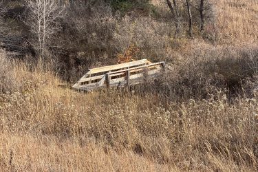 A wooden bridge partially obscured by tall grass and shrubs in a natural setting, surrounded by sparse trees and dry vegetation. The scene captures a tranquil, untamed landscape. Alcove Springs mountain bike trail.