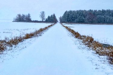 A snow-covered pathway leading through a tranquil winter landscape, flanked by bare trees and a dense forest in the distance under a cloudy sky. Luther Marsh mountain bike trail.