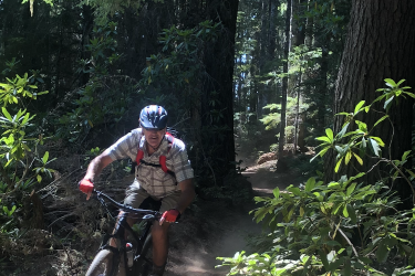 A person riding a mountain bike on a dirt trail surrounded by dense forest greenery. The cyclist is wearing a helmet and appears focused as they navigate through the trees. Sunlight filters through the leaves, illuminating the path. Timothy Lake Trail mountain bike trail.