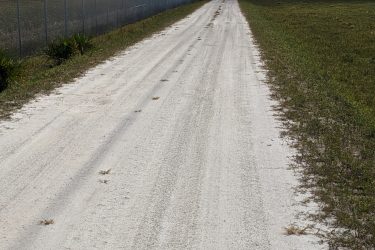 A dirt road stretches into the distance, framed by a wire fence on the left and grassy areas on the right. Power lines run parallel to the road under a partly cloudy sky. The path shows signs of tire tracks and a few scattered leaves. Yucca Pens Unit State Wildlife Management Area mountain bike trail.