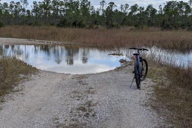 A mountain bike resting on a gravel path next to a shallow water pool, surrounded by tall grasses and trees under a partly cloudy sky. Yucca Pens Unit State Wildlife Management Area mountain bike trail.