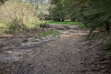 A dirt path surrounded by lush greenery and trees, with fallen leaves scattered along the ground. The scene is serene, featuring clear blue skies peeking through the branches above. Live Long and Prosper mountain bike trail.