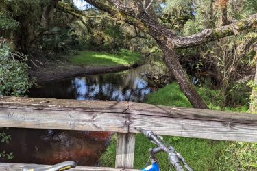 A serene view of a winding creek surrounded by lush greenery, captured from a wooden bridge. A bike rests against the railing in the foreground, while trees draped with Spanish moss frame the tranquil waters reflecting the natural landscape. Live Long and Prosper mountain bike trail.