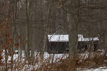 A small, wooden cabin partially obscured by trees and underbrush in a snowy forest. The scene is quiet and tranquil, with a light cover of snow on the ground and branches. Blind Line mountain bike trail.