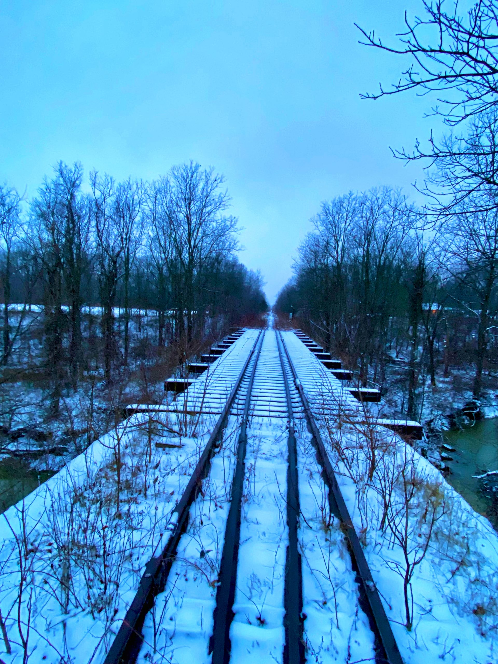 An empty railway track stretches into the distance, surrounded by trees partially covered in snow. The scene is under a pale blue sky, creating a serene winter landscape. Sparse vegetation peeks through the snow along the sides of the tracks. Elgin Trail mountain bike trail.