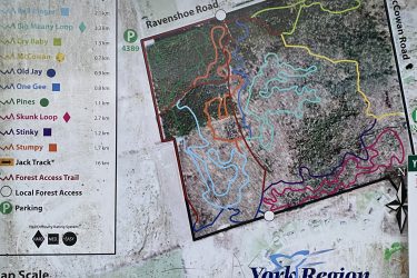 Map of the Brownhill Tract in York Regional Forest, displaying various trails including their names and approximate lengths. The map features colorful lines indicating trail routes, with nearby roads labeled. The rules for the tract are also listed at the bottom, emphasizing safety and environmental preservation. Surrounding the map, trees and natural scenery are visible in the background. Ravenshoe / Brownhill mountain bike trail.