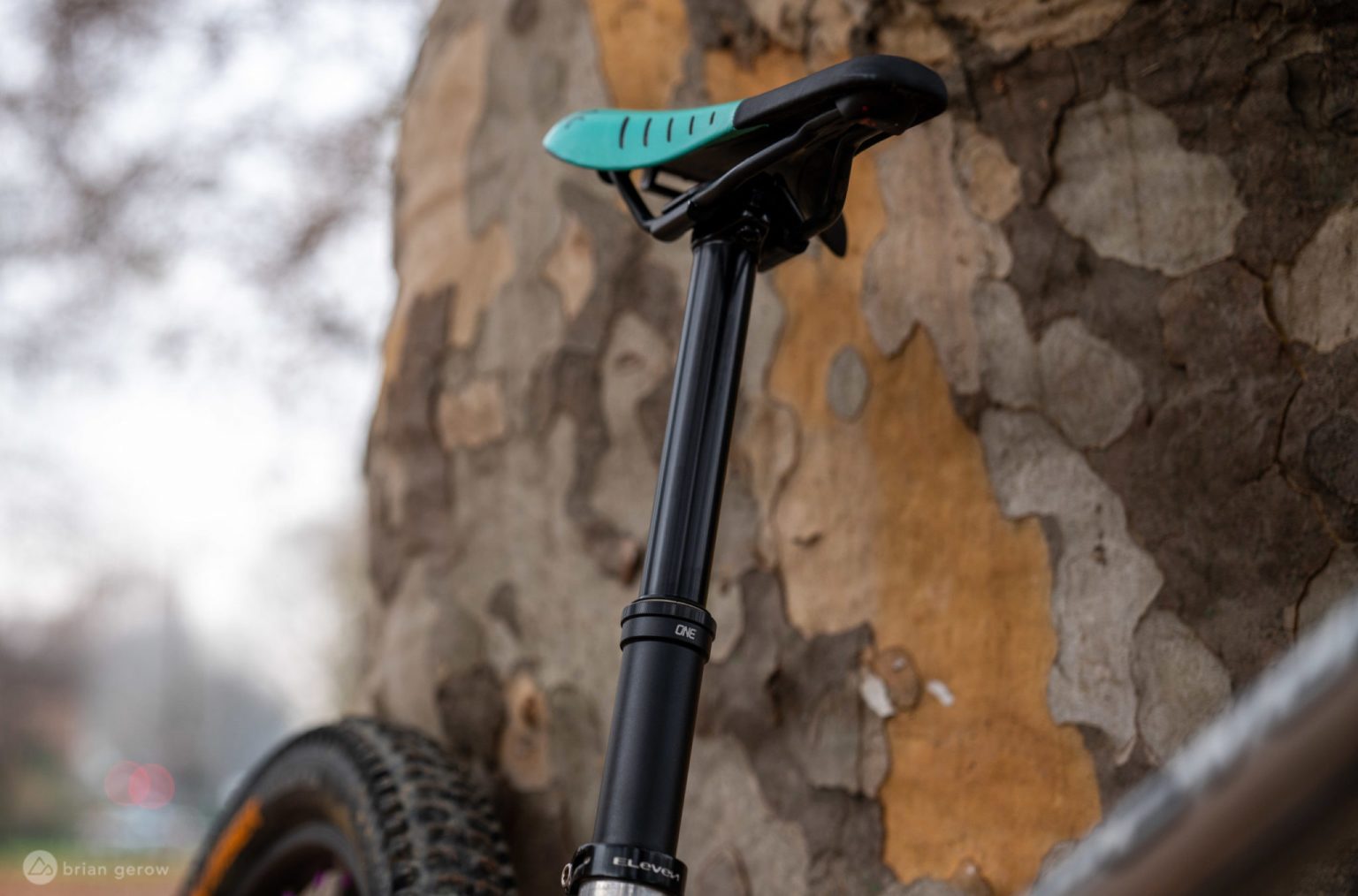 How to Rebuild a Cartridge Dropper Post Singletracks Mountain Bike News