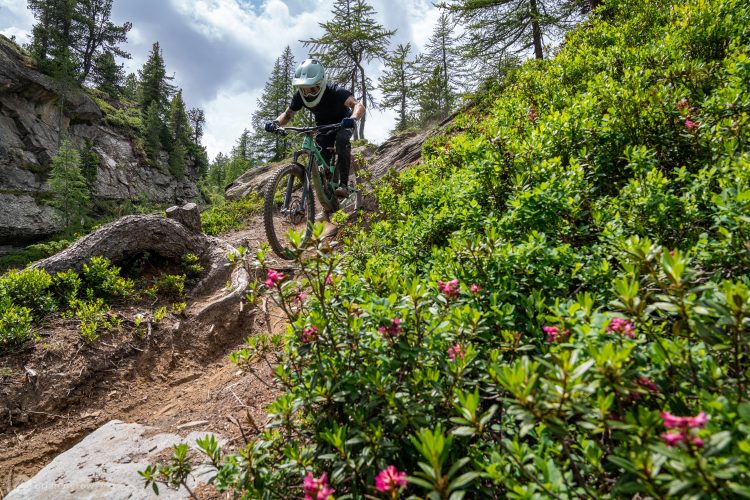 A mountain biker riding along a rocky, winding trail surrounded by lush green vegetation and blooming pink flowers, with tall trees and clouds visible in the background.