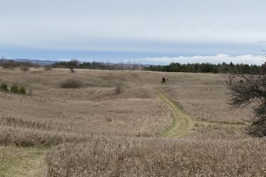A wide, open landscape with dry grass and a dirt path winding through it, leading towards a distant line of trees under a cloudy sky. The scene captures a tranquil and natural setting, evoking a sense of solitude and connection with nature. Coulson's Hill mountain bike trail.